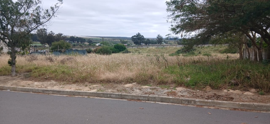 0 Bedroom Property for Sale in Hopefield Western Cape